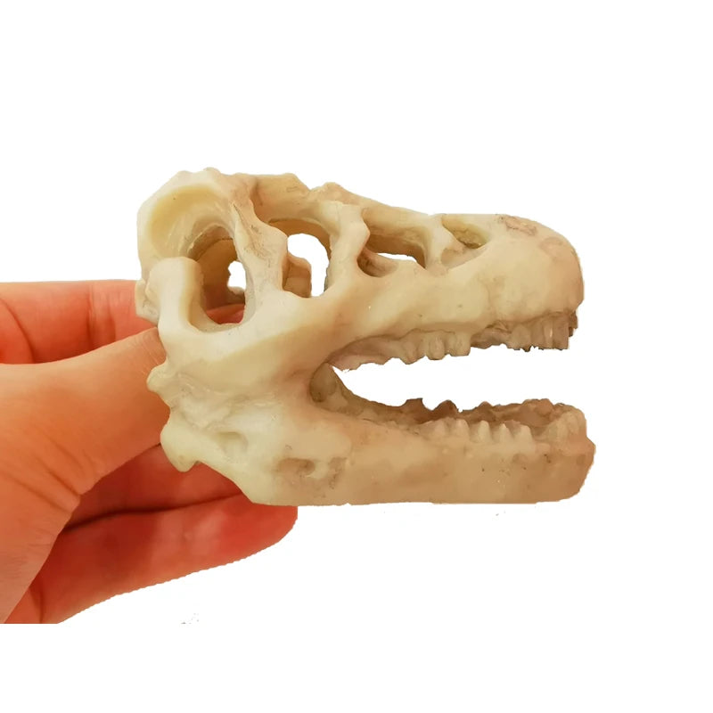 Aquarium Ornaments Decoration Resin Rhinoceros Horned Skull Goat-Head Shape Fish Tank Spider Scorpion Lizard Aquariums Shelter