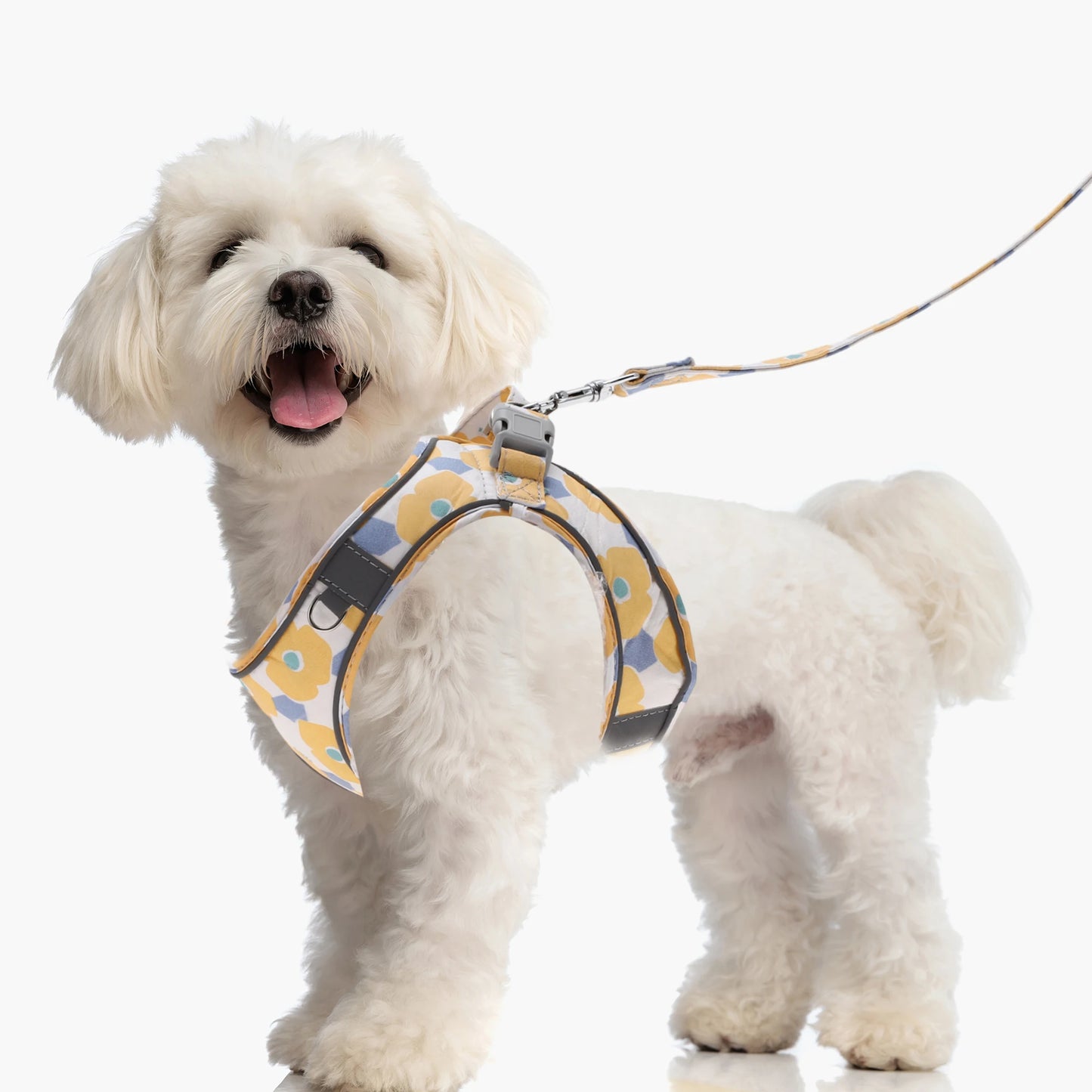 Uxcell Fashion Puppy Harness and Leash Set Pet Harness Vest with Reflective Strips and Magic Tapes for Kitten Puppy Outdoor