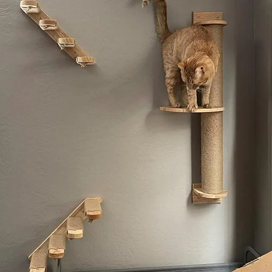 Cat Wall Pet Wooden Furniture Climbing Shelves Cat Hammock with Ladder or Jumping Platform for Kittens Indoor Playing and Perch