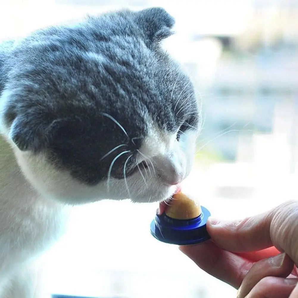 Healthy Cat Mint Ball Nutritious Candy Solid Sticky Wall Digestion Cat Snacks Pet Teeth Cleaning Anti-Bite Snacks Licking Candy