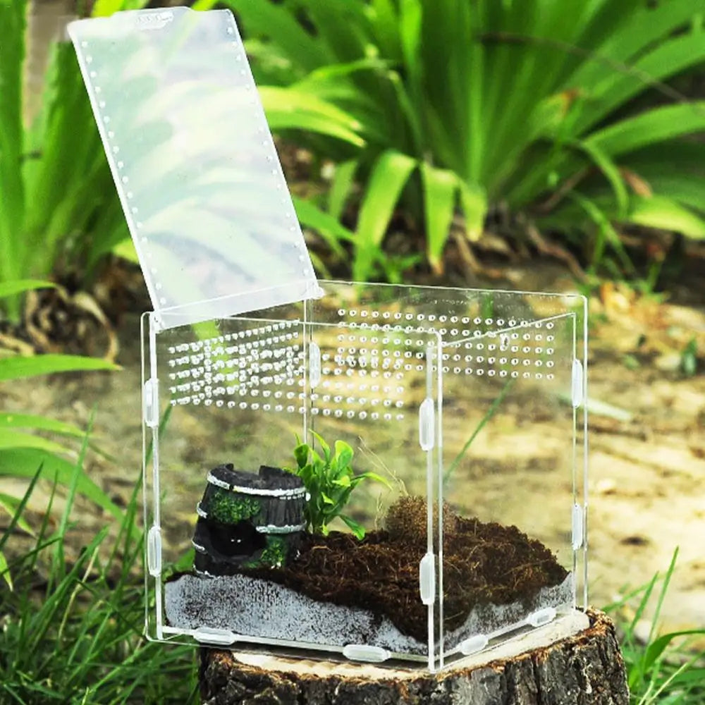 Reptile Terrarium Transparent Reptile Breeding Carrier Lightweight Acrylic Large Feeding Tarantula Habitat Box For Small Animals