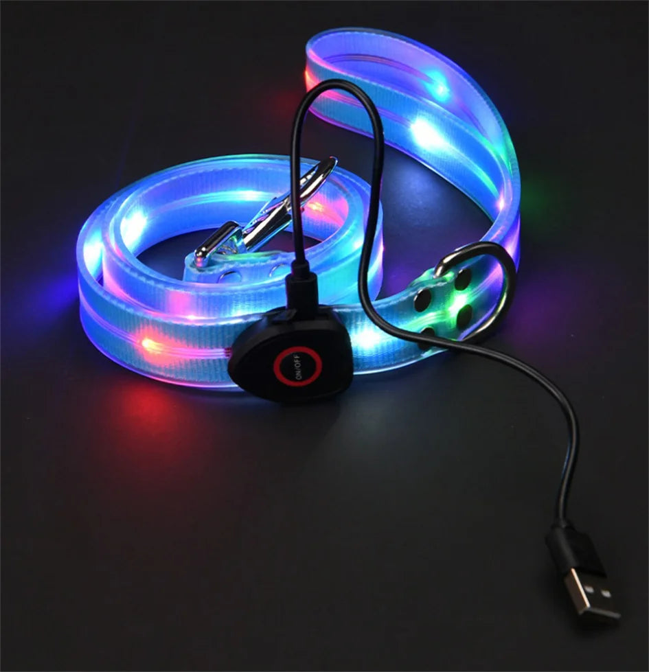 Led Light Up Dog Leash Walking Safety Glow in The Dark USB Rechargeable Adjustable for Large Medium Small Pet Lighted Dog Collar