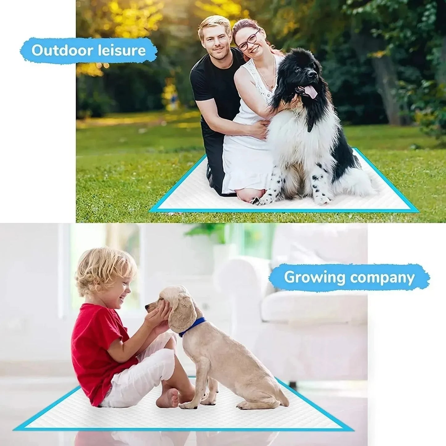 20/40/50/100pcs Dog Disposable Urine Pads, Dog Diapers High Absorbent Pet Cage Pads Puppy Potty Training Pads