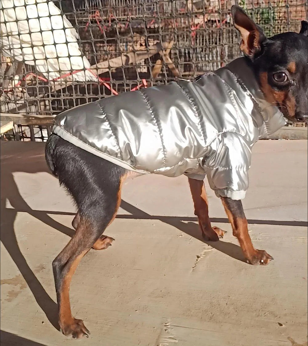 Puppy Pet Dog Clothes Outdoor Windproof Waterproof Leather Dog Coat Winter Warm Padded Jacket for Dogs and Cats in Cold Weather