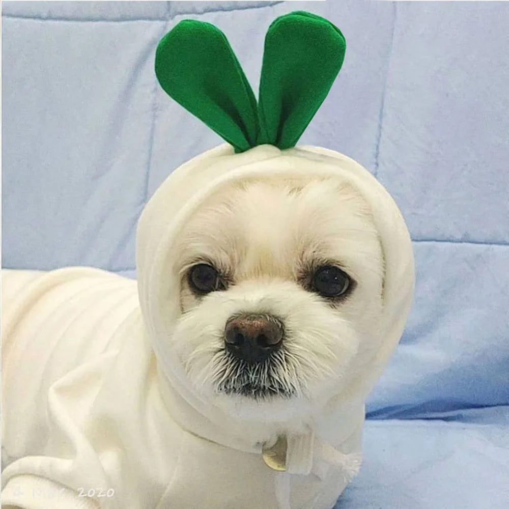 Cute Fruit Pet Costume Dog Clothes for Small Dogs Warm Fleece Doggy Hoodies Pet Dog Cat Clothing Puppy Sweater for Chihuahua Pug