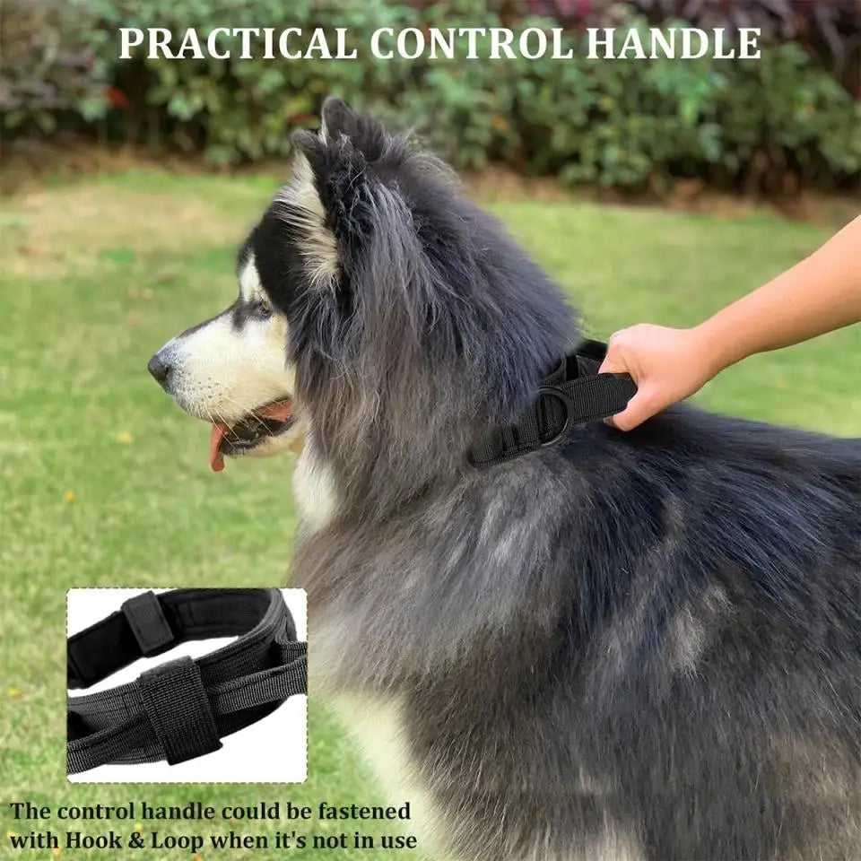 Durable Military Tactical Dog Collar Bungee Leash Nylon Walking Training Pet Collar for Medium Large Dogs German Shepherd