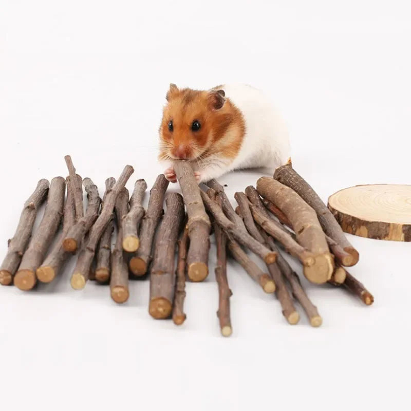 5pcs 10pcs 40pcs Chew Stick Apple Tree Branch Hamster Squirrel Natural Toys Parrots Rabbits Grinding Stick