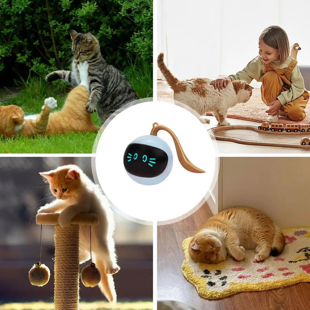2 in 1 Self Rotating Ball Cat Toy Smart Interactive Cat Toy USB Rechargeable Wicked Ball 360 Degree Automatic Cat Moving Rolling