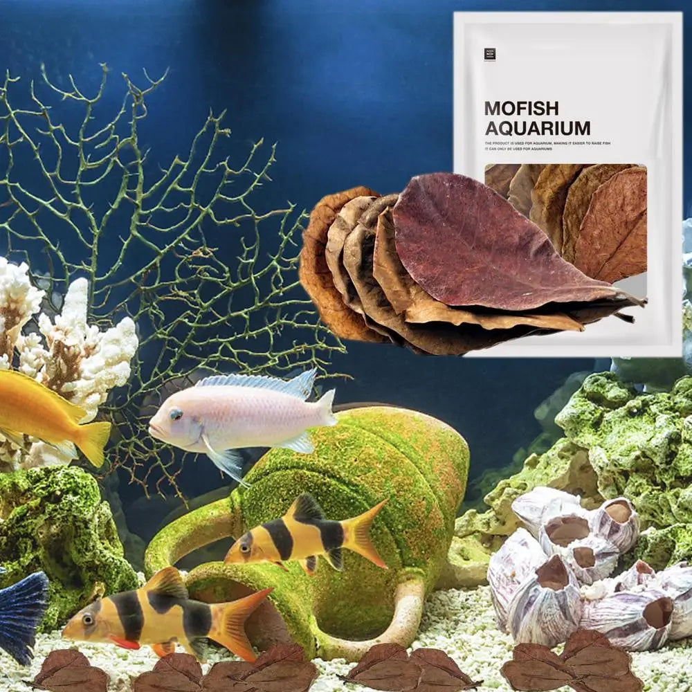 20pcs Aquarium Almond Leaves Catappa Almond Leaves Catappa LeavesTank Fish Cleaning Indian Almond Tree Aquarium Decoration