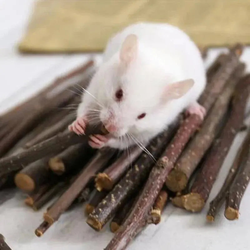 100/200/300/500g Hamster Rabbit Teeth Grinding Apple Tree Stick Minerals Molar Stone Toys for Chinchilla Hamster Pet accessories