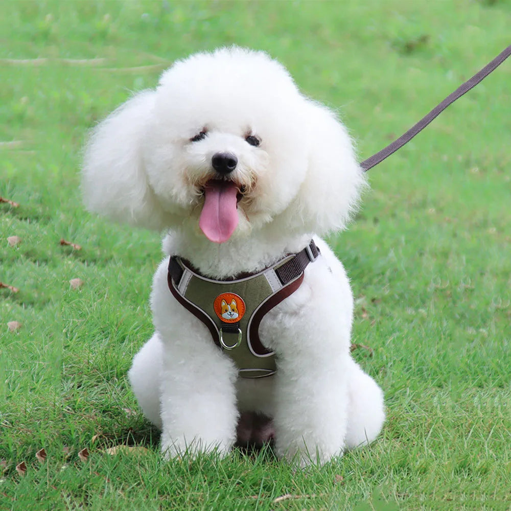 Step-in Dog Harness Small Dog Harness and Leash Set Adjustable Reflective Pet Dog Vest Soft Harness for Puppy Small Medium Breed