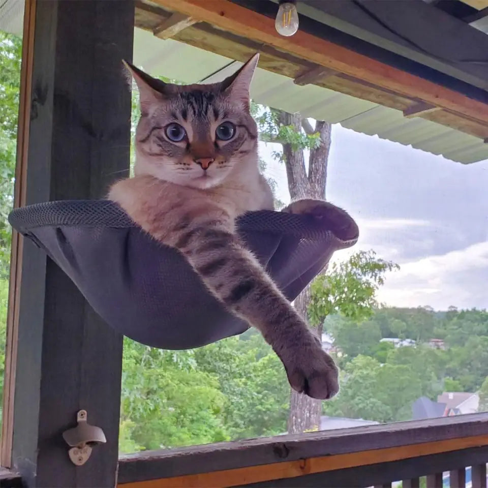 Cat Hammock Wall Mounted Foldable Cat Beds Breathable Cat Wall Shelves for Sleep Overlook Sunbathing Stable Cat Wall Perch