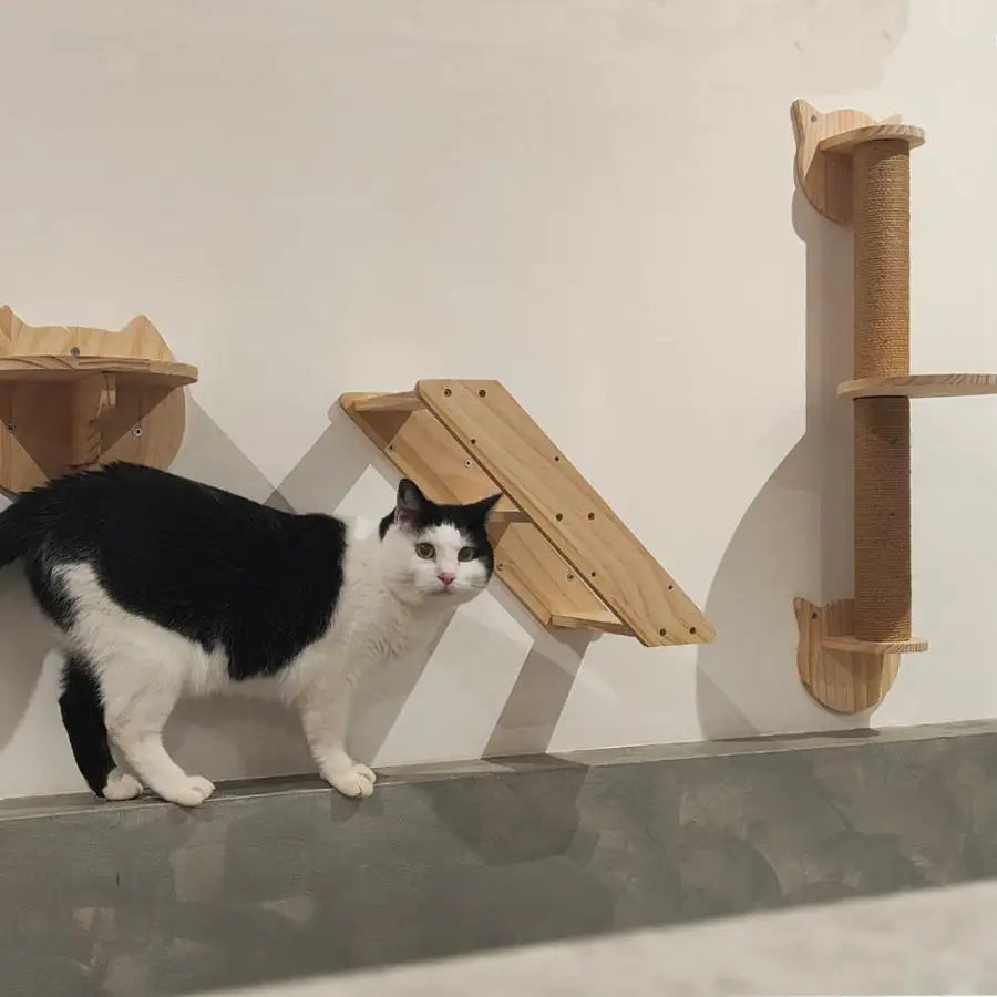 Cat Wall Mounted Wooden Shelves Platform and Hammock for Cats Sleeping and Scratching Post for Cats Grinding Claws Pet Furniture