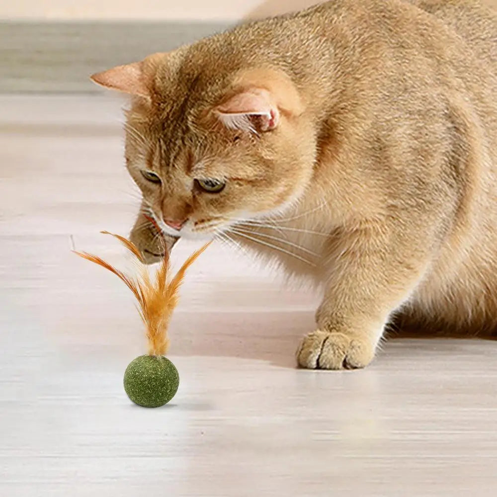1pcs Catnip Feather Ball Interactive Natural Lollipop for Cat Kitten Toys, Feathers Design Teeth Cleaning Playing Toys