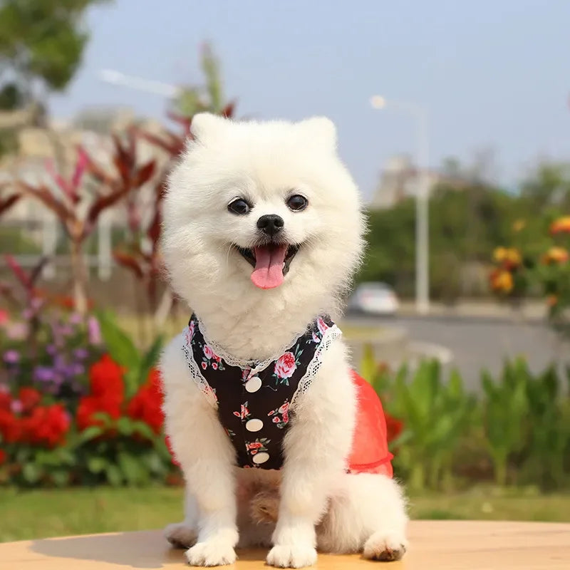 2024 Summer Dress for Dog Pets Clothes Chihuahua Wedding Dress Skirt Cloth Accessory Dog Pet Dress Supplies Hanbok Cat Costume