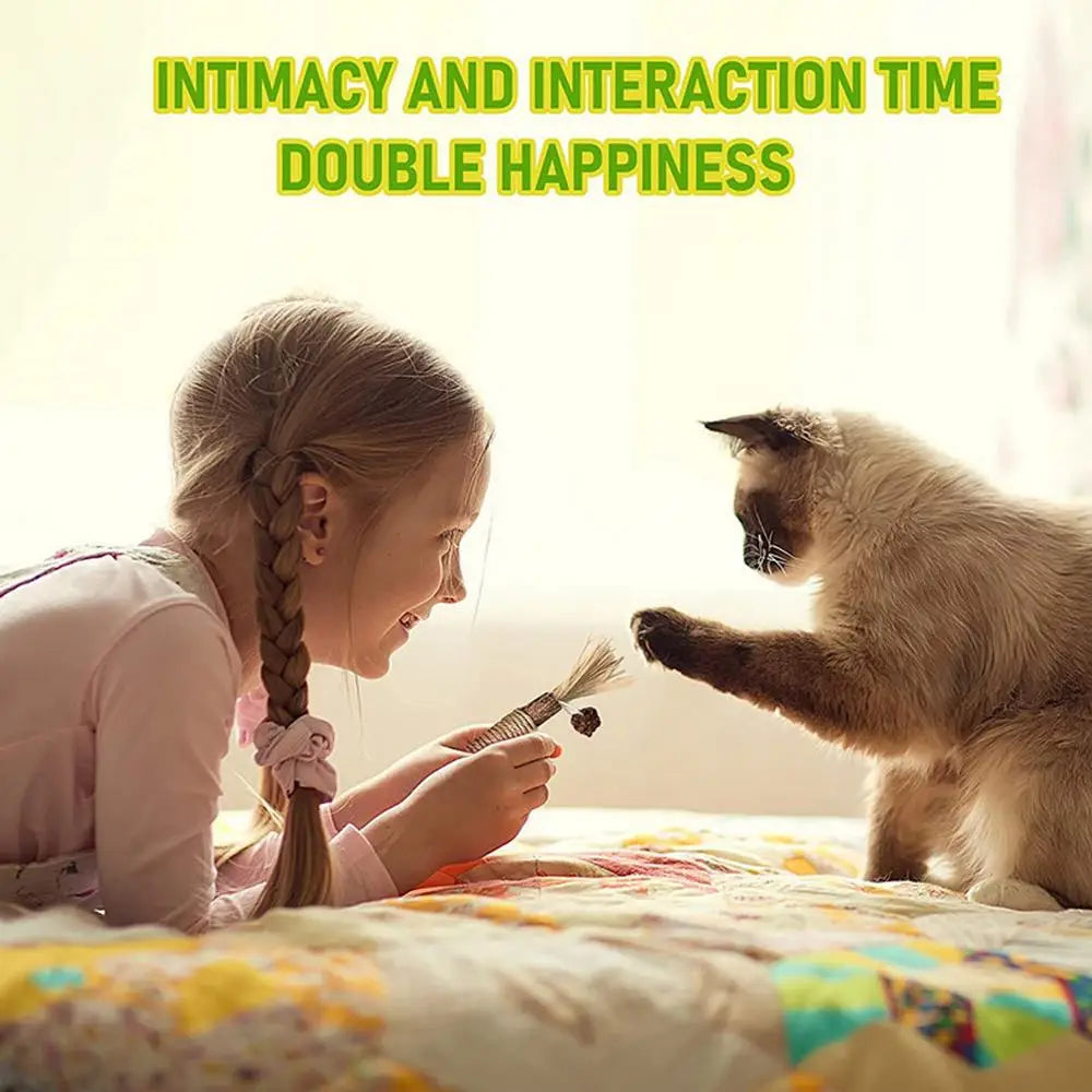 Natural Matatabi Cat Snacks Sticks Catnip Pet Cat Toys Actinidia Polygama Molar Toothpaste Stick Cleaning Teeth