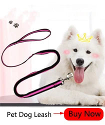 1Pcs 50cm Length Super Strong Nylon Dog Leash Dog Collar Leads For Medium Large Dogs with Spring Anti Pull Leashes Pet Supplies
