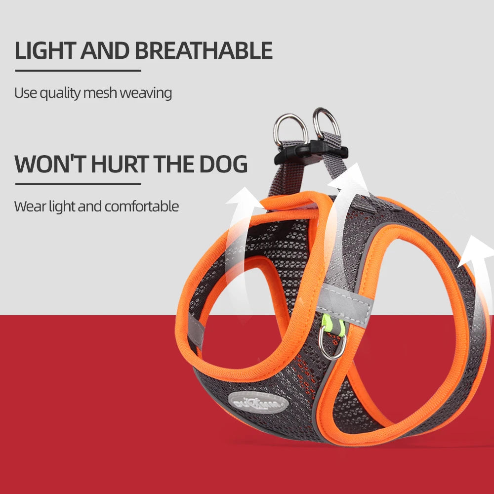 Summer Pincher Puppy Dog Vest Harness for Small Dogs High Quality Pet Harnesses and Leash Set Pomeranian Poodle mascotas Chain