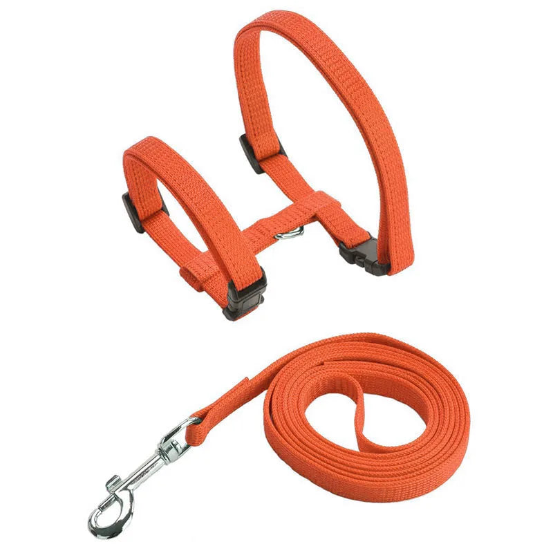 Adjustable Pet Cat Collar For Cats Cozy Nylon Rabbit Kitten Kedi Harness Leash Set Small Puppy Dog Cat Accessories Pet Products