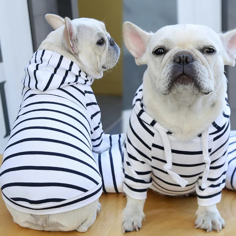 2023New Spring Summer Dog Hoodies Puppy Small Dog Costume Shirt Yorkshire Terrier Pomeranian Bichon Poodle maltese Clothing Coat