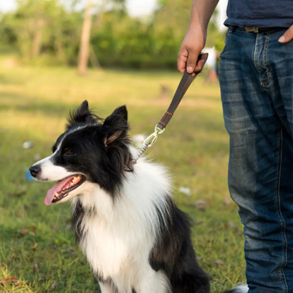 Dog Short Leash Lead Traffic Padded Handle Heavy Duty Real Leather Dog Lead for Training Control Puppy Small Medium Large Dogs