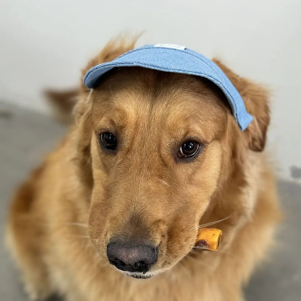 Dog Hat with Ear Holes Fashionable Denim Dog Baseball Outdoor Cap Adjustable Summer Travel Sport Hat for Small Medium Large Dogs