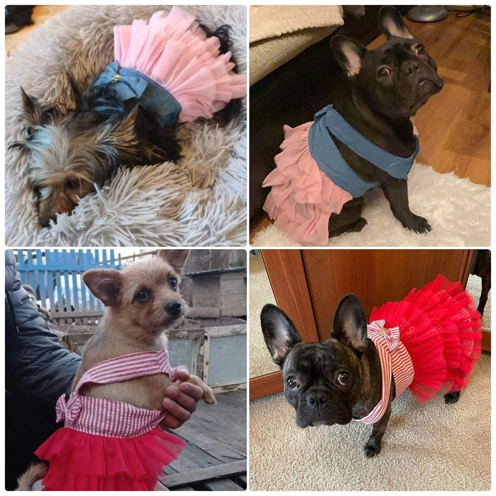 Summer Dog Dress Veil Clothes Universal Dogs Dress Chihuahua Stripe Tulle Skirt Cute Puppy Pet Cat Princess Costume Dog Apparel