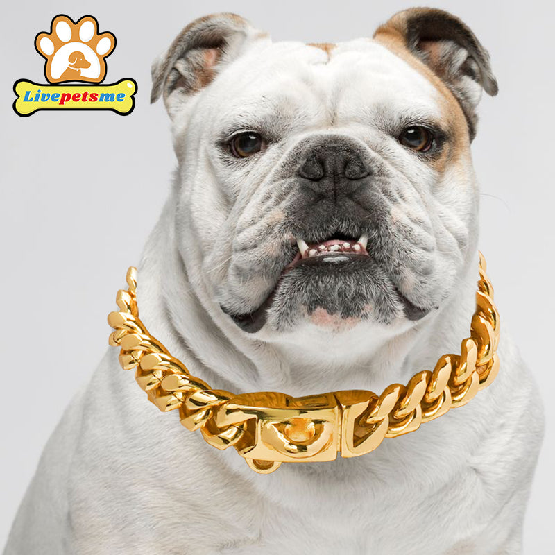 Stainless Steel 18K Gold Dog Collar, Wide Pet Choker, Metal Dog Necklace, Pet Supplies, Accessories for Dogs, 14mm
