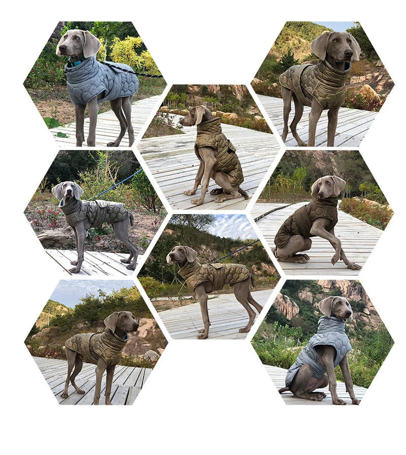 Italian Greyhound Large Dogs Clothes Winter Coat Adjustable Reflective Warm Fleece Lined Turtleneck Dog Jacket for Big Dogs