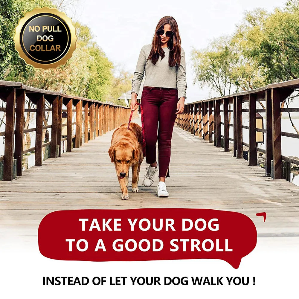 Strong Dog Prong Collar for Dogs Adjustable Detachable Dog Training Collar with Quick Release Buckle for Small Medium Large Dogs