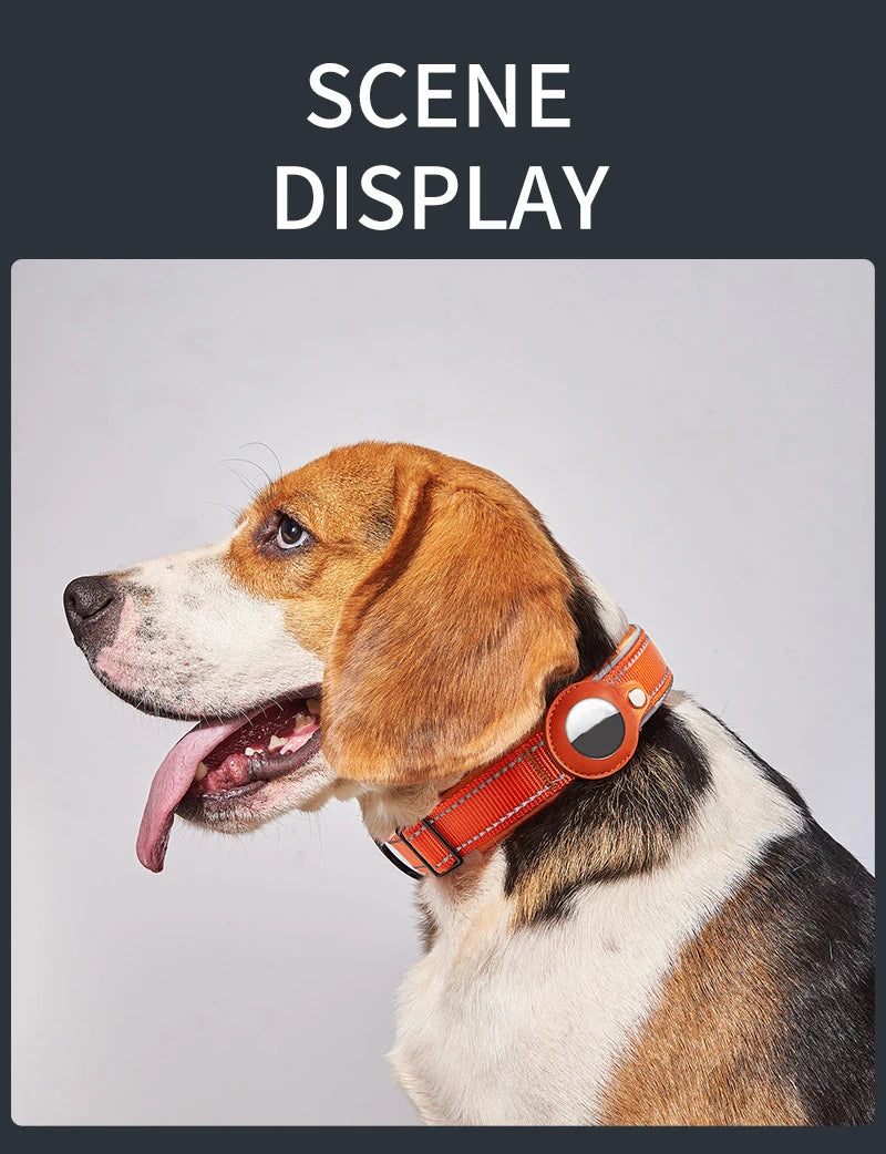 Reflective AirTag Dog Collar, Heavy Duty Dog Collar with Adjustable AirTag Holder Case Accessories for Small Medium Large Dogs