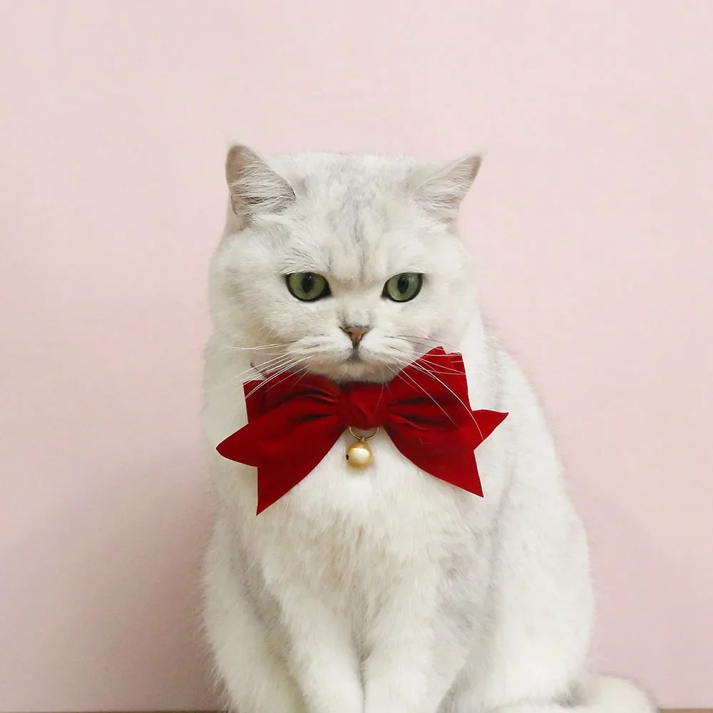 Soft Velvet Cat Collar Breakaway Puppy Kitten Collar Red Pink Bow Small Dog Collar Adjustable Safety Buckle Cat Bow Pet Supplies