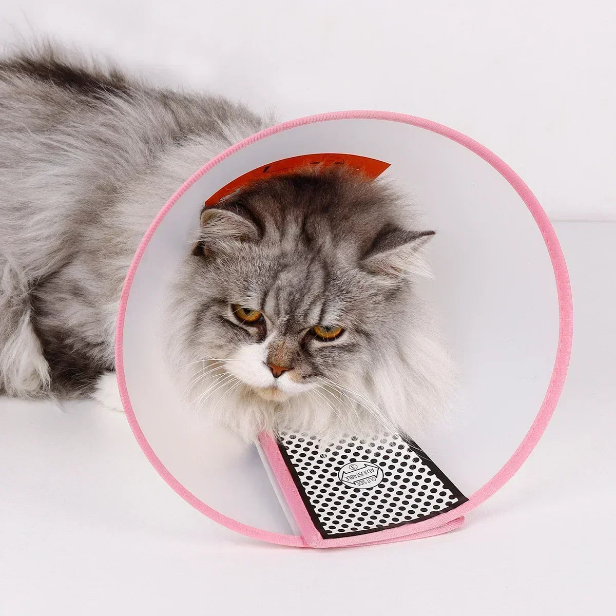 A Pet Dog And Cat Collar Large Dog Medium Dog Small Dog Bite Ring Anti-scratching Collar Recovery Collar