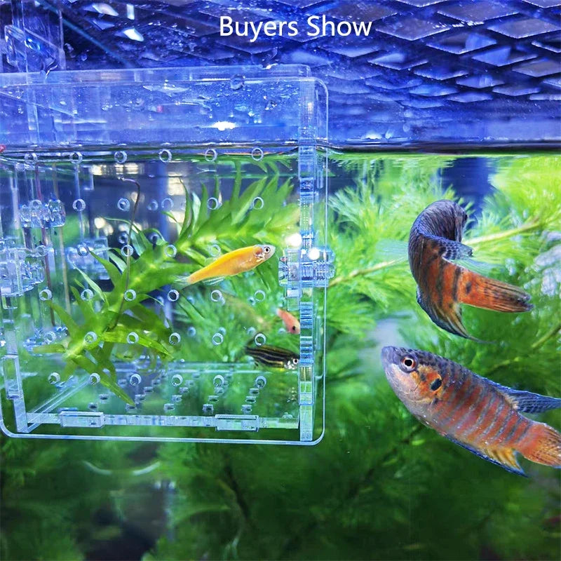 HighTransparent Acrylic Aquarium Fish Breeding Feeding Isolation Box Fish Aquarium Breeder Hatching Incubator Tank Accessories