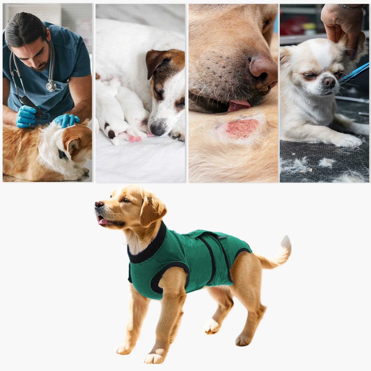 UXCELL Pet Recovery Suit Wound Protective Clothes for Dogs Cats After Weaning Pet Recovery Striped Shirt Surgical Clothing