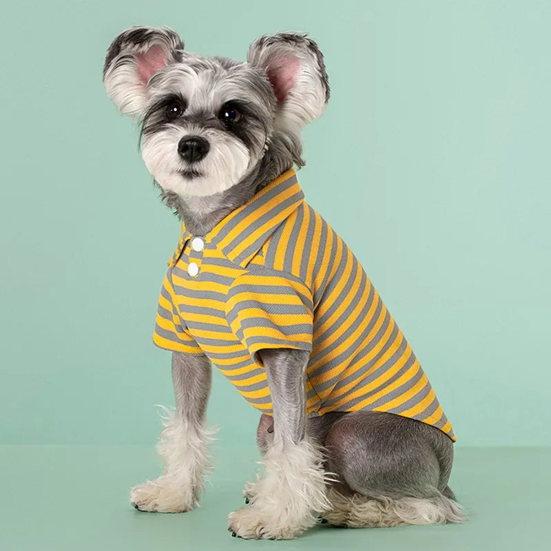 Striped Pet Polo Shirt Summer Dog Clothes for Small Dogs Cotton Puppy Vest Chihuahua Bichon Costume Cat T Shirt Dog Undershirt
