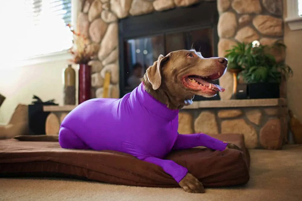 Dog Onesie Clothes Shedding of Dog Hair for Home Car Travel Anxiety Calming Shirt Surgery Recovery Body Jumpsuit for Large Dogs