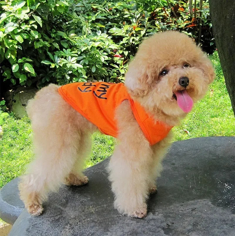 Cute Paw Printed Heart Love Design Small Dog Vest Clothes Summer Spring TShirts For Dogs Costume Puppy Dog Accessories Chihuahua