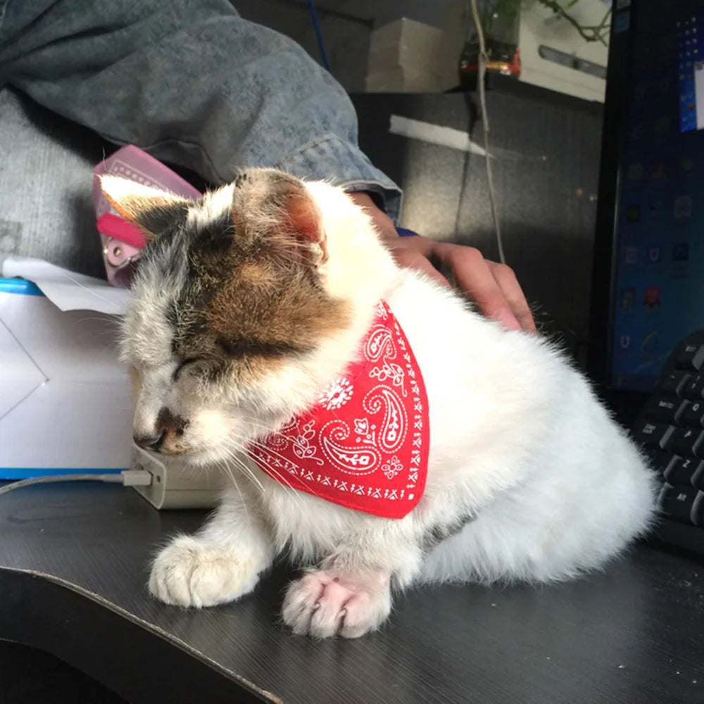 Small Dog Cat Bandana Collar Adjustable Puppy Dog Kitten Neckerchief PU Collar with Printed Triangular Scarf Pet Collar for Cat