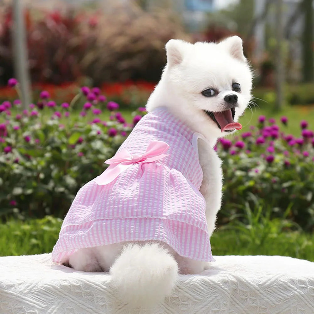 Dog Dresses Girl Puppy Dress Summer Pet Clothes Outfit Apparel Cute Cat Skirt Female Tutu Clothing for French Bulldog Chihuahua