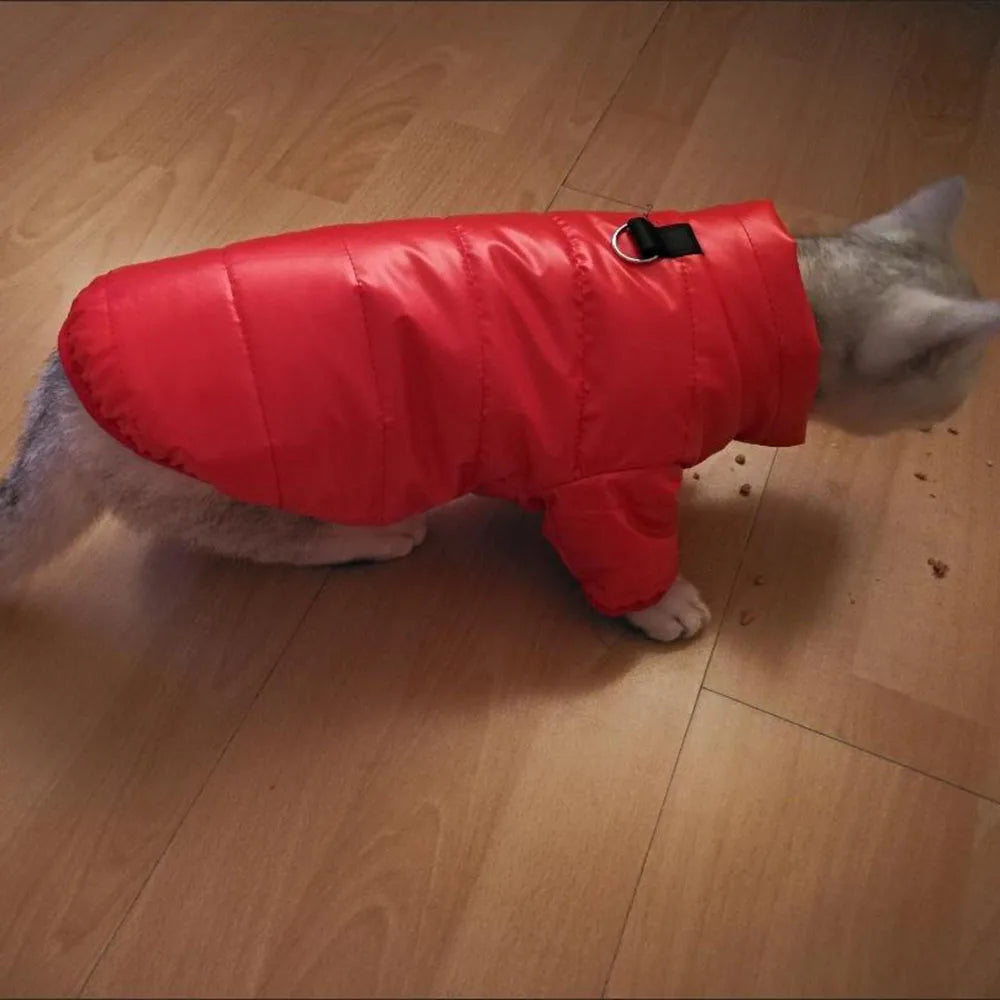 Puppy Pet Dog Clothes Outdoor Windproof Waterproof Leather Dog Coat Winter Warm Padded Jacket for Dogs and Cats in Cold Weather