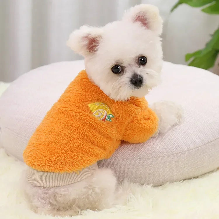 Pet dog Clothes Breathable Autumn and Winter Dog Clothes Durable Soft Dog Cute Print Puppy Clothes dog clothes for small dogs