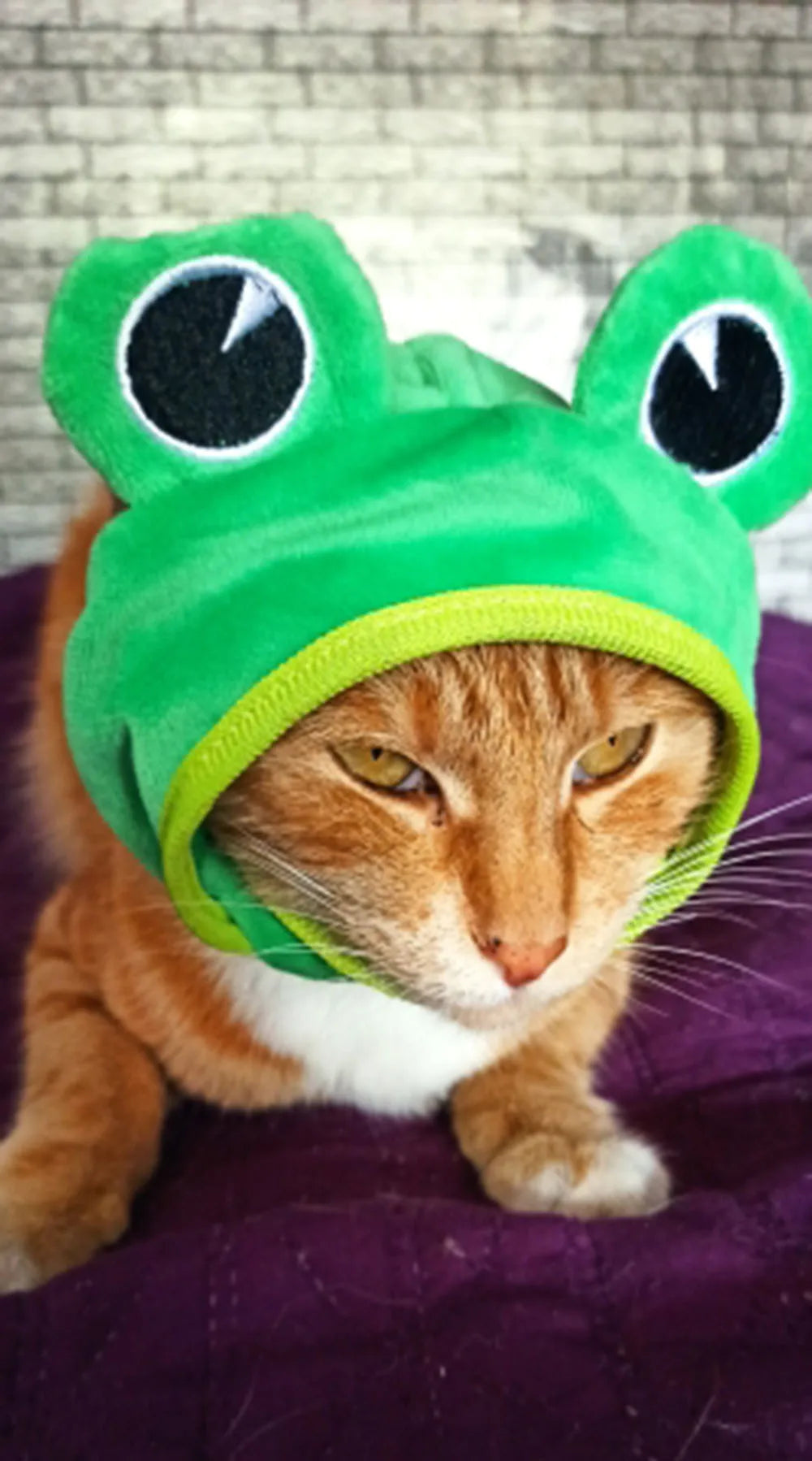 Cute Pet Hat Small Dog Cat Hat Easter Bunny Hat Crab Lobster Frog Cap Pet Party Costume Accessories Headwear for Cat Kitten Pug