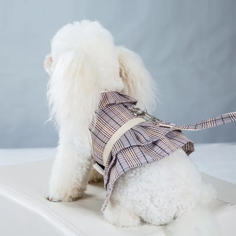 2023New Dog Harness Elegant Comfortable Breathable Pet Dress Collar For Small Dogs Fashion Lovers Vest Dog Harness and Leash Set