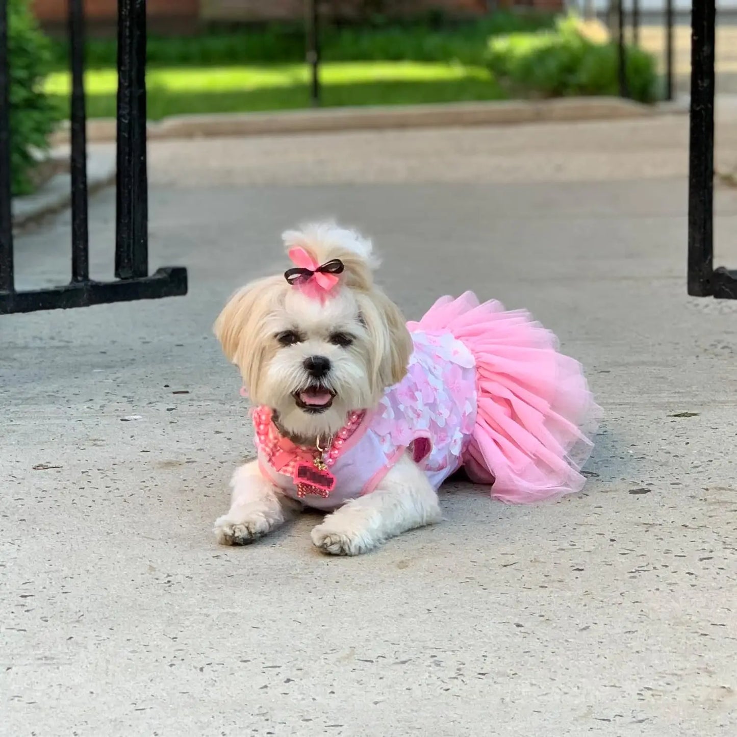 Cute Girl Dog Dress Bowknot Princess Lace Tulle Skirt Ruffle Tutu Dress for Small Dogs Cats Chihuahua York Summer Puppy Clothes
