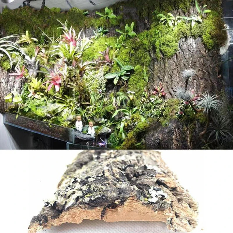 2Pcs Natural Tree Bark Aquarium Decoration Wood Artwork Decor Landscaping Ornaments Decor Fish Tank Background Moss Decor