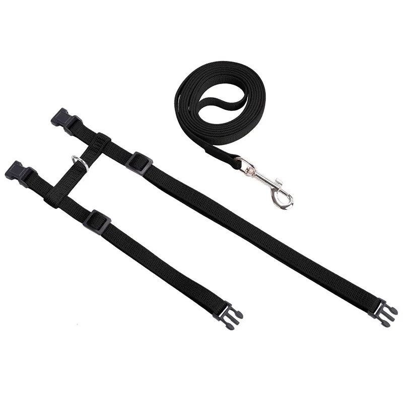 Adjustable Pet Cat Collar For Cats Cozy Nylon Rabbit Kitten Kedi Harness Leash Set Small Puppy Dog Cat Accessories Pet Products