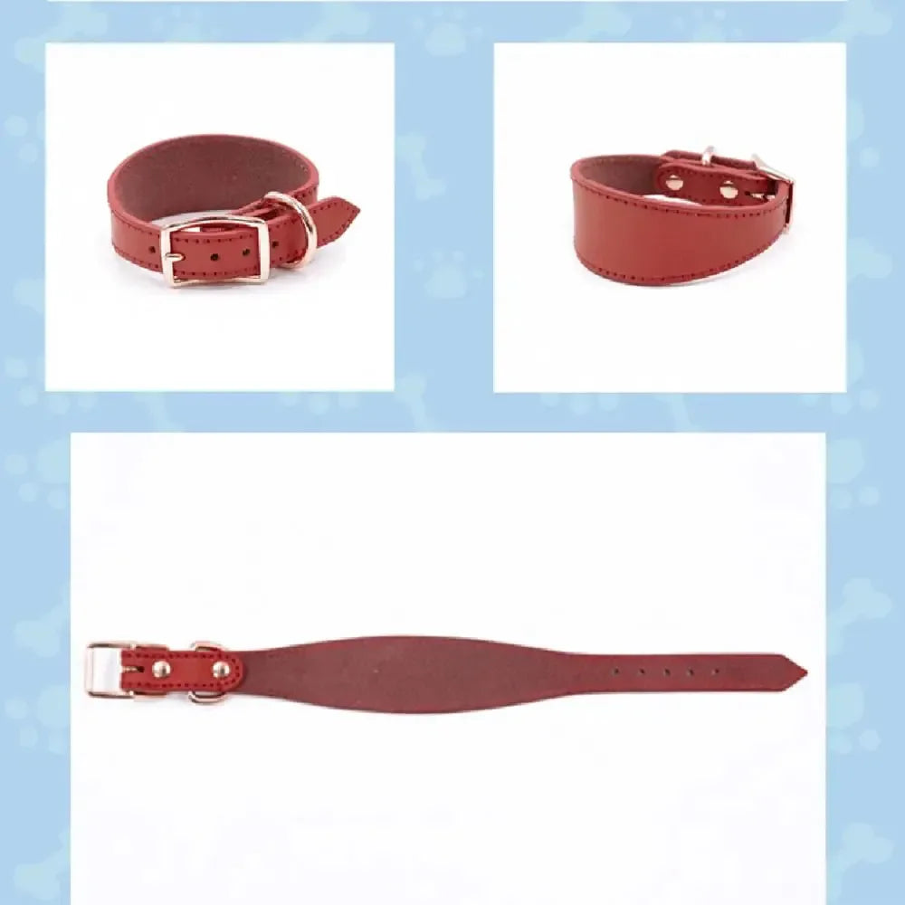 Soft Real Leather Extra Wide Padded Tapered Dog Collar Glossy Brown Black Greyhound Saluki Deerhound Lurcher Whippet Dachshund