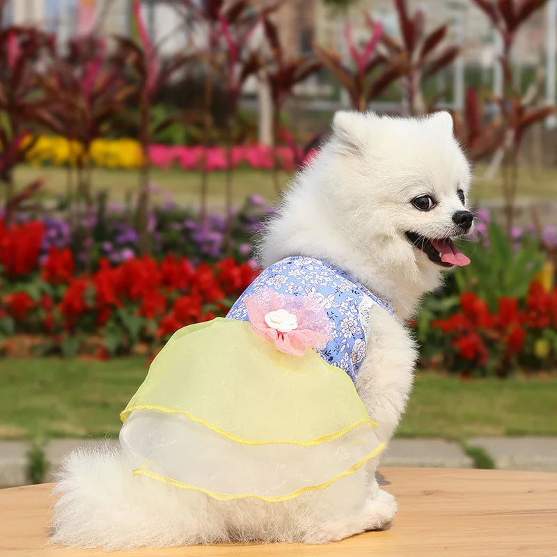 2024 Summer Dress for Dog Pets Clothes Chihuahua Wedding Dress Skirt Cloth Accessory Dog Pet Dress Supplies Hanbok Cat Costume