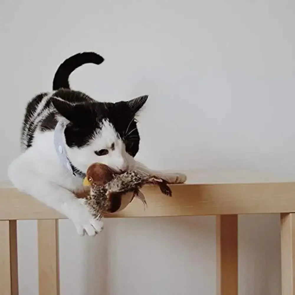 Sound Bird Toy Cat Feather Toys Cat Feather Toys Interactive Cat Toy With Sounds Sound toys cricket, bird, hedgehog, mouse